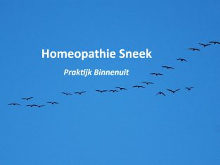 Klassieke homeopathie